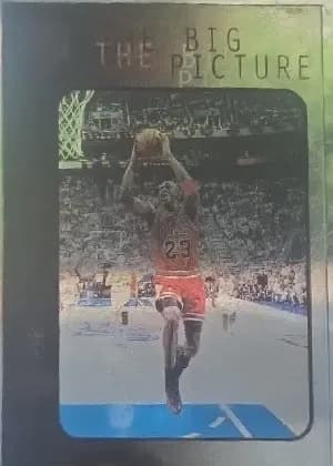 Michael Jordan Sample