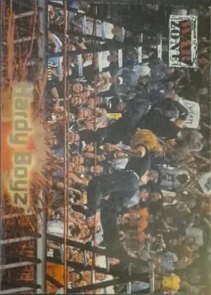 Hardy Boyz #76