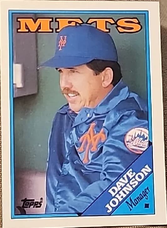Dave Johnson #164