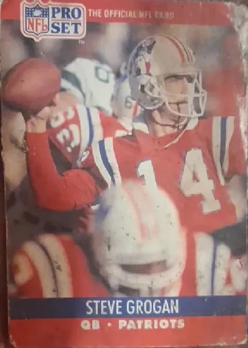 Steve Grogan #580