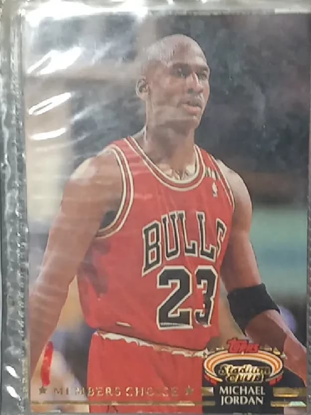 Michael Jordan #210
