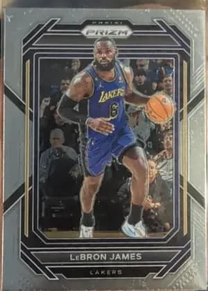 LeBron James [Silver] #134