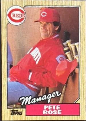 Pete Rose #393