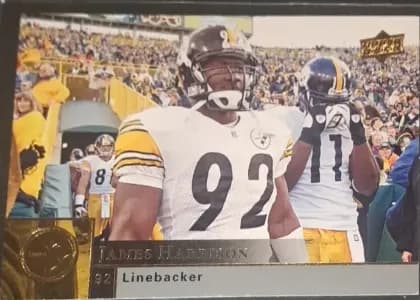 James Harrison #153