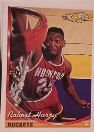 Robert Horry #160