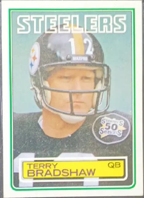 Terry Bradshaw #358