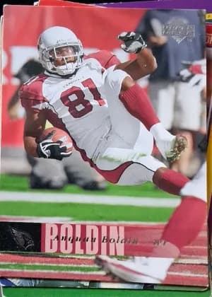 Anquan Boldin #2