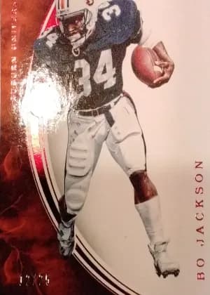 Panini Immaculate Collection