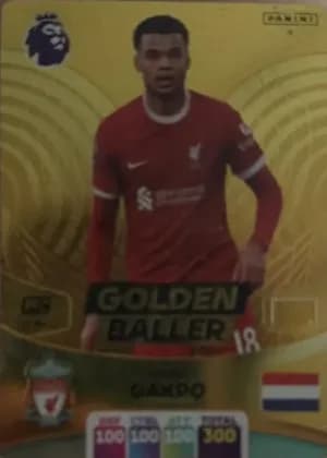 Panini Adrenalyn XL #18 Cody Gakpo