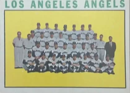 Angels Team #213