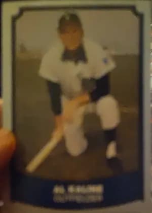 Al Kaline #104