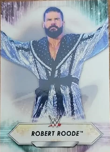 Robert Roode #160