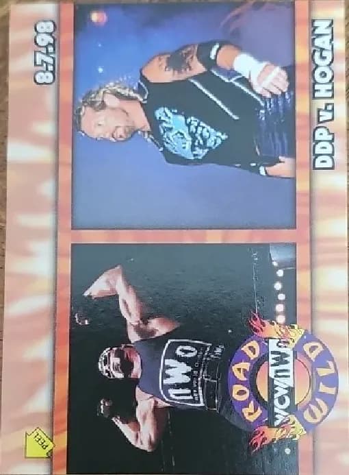 DDP vs Hogan #S8