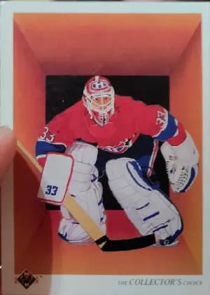 Patrick Roy: Checklist #317