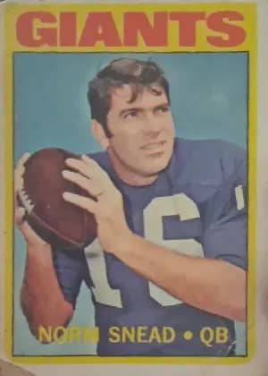 Norm Snead #118