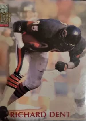 Richard Dent #95