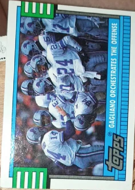 Lions Team #518