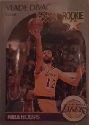Vlade Divac #154