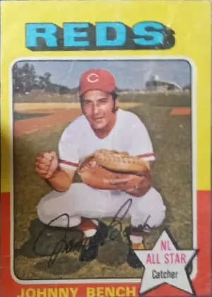 Johnny Bench #260