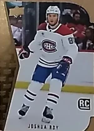 Joshua Roy