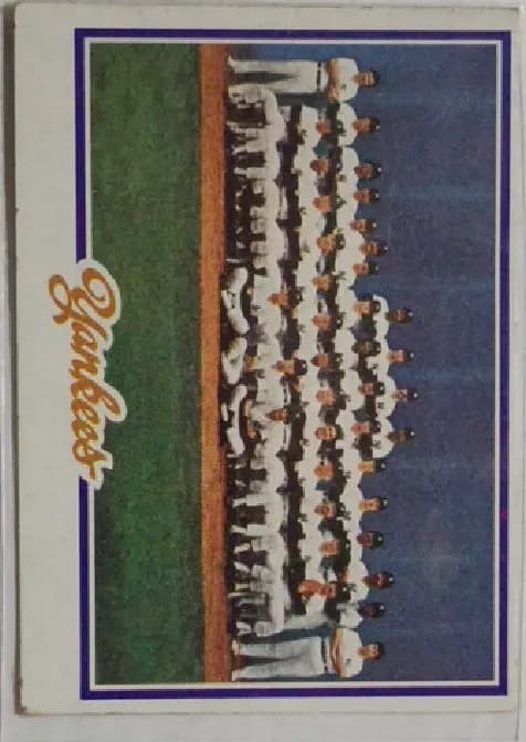 Yankees Team #282