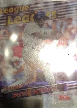 Bernie Williams #222