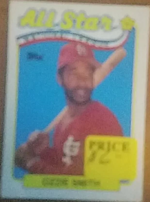 Ozzie Smith #389