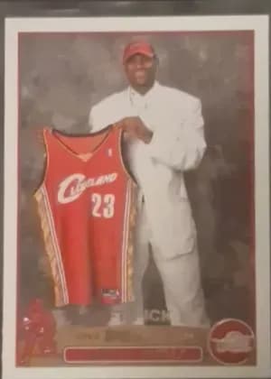 LeBron James #221