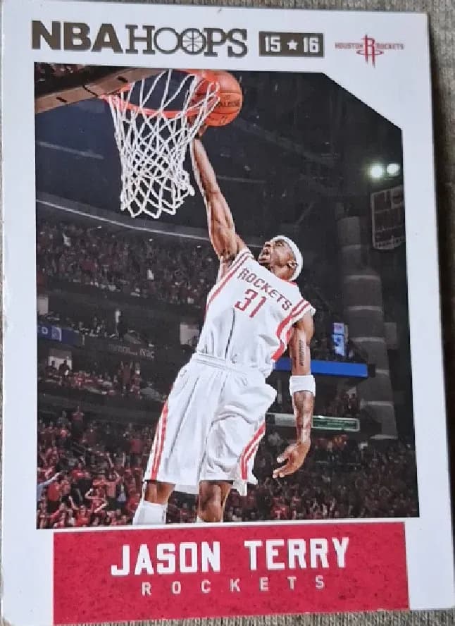 Jason Terry #53
