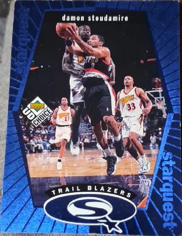 Damon stoudamire #SQ22