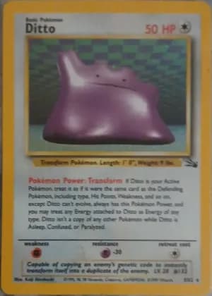 Ditto