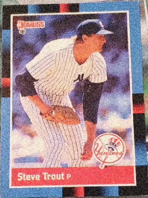 Steve Trout #524