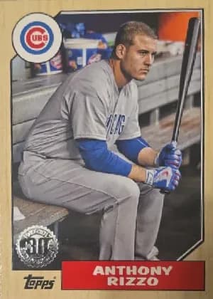 Anthony Rizzo [Mini Red] #87-17