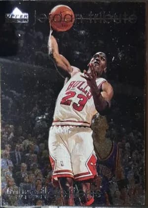 Michael Jordan #MJ66