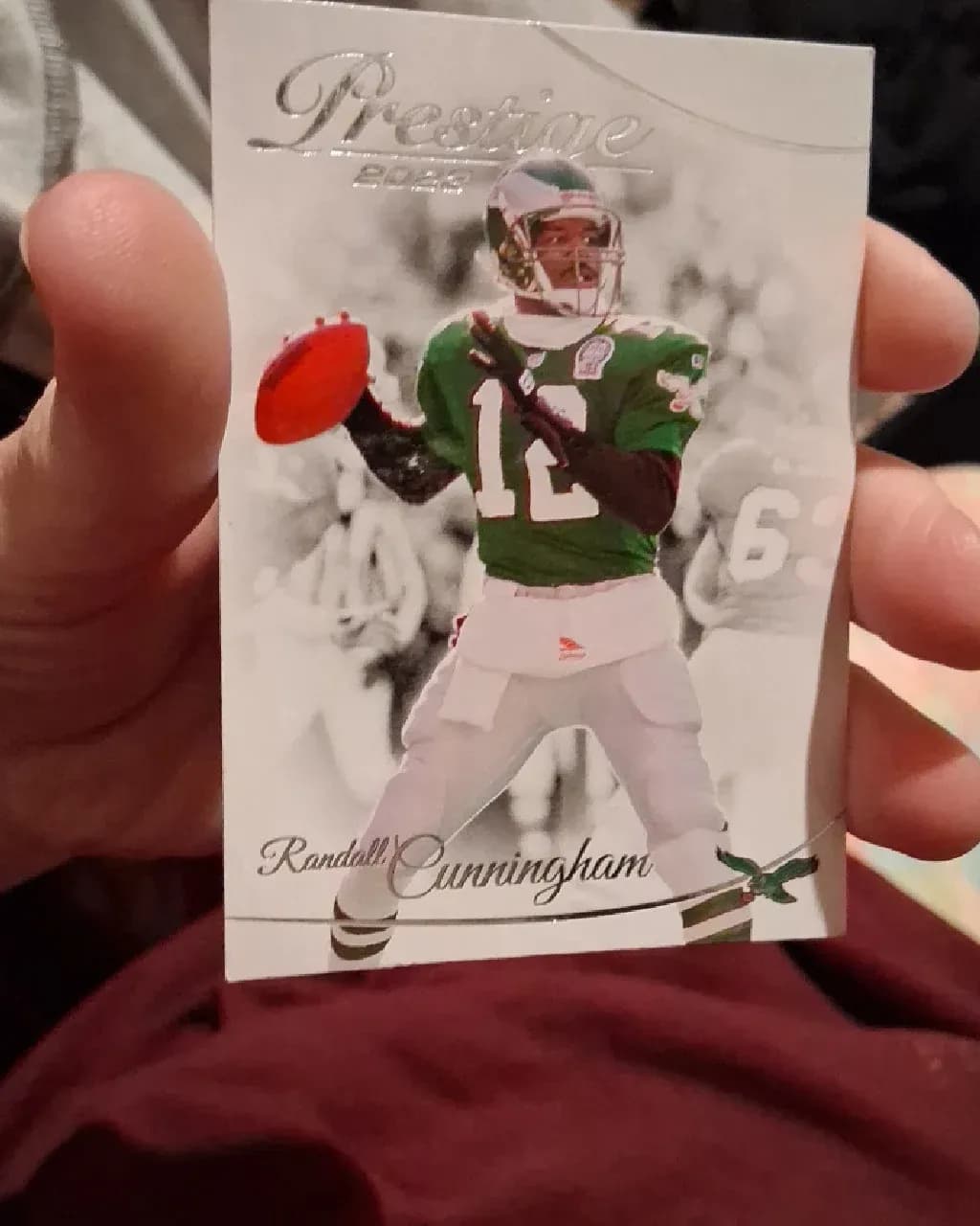 Randall Cunningham #242