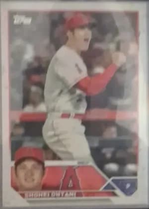 Shohei Ohtani
