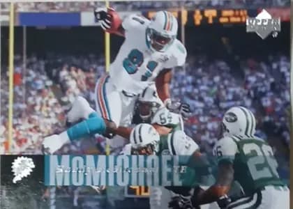 Randy McMichael #105