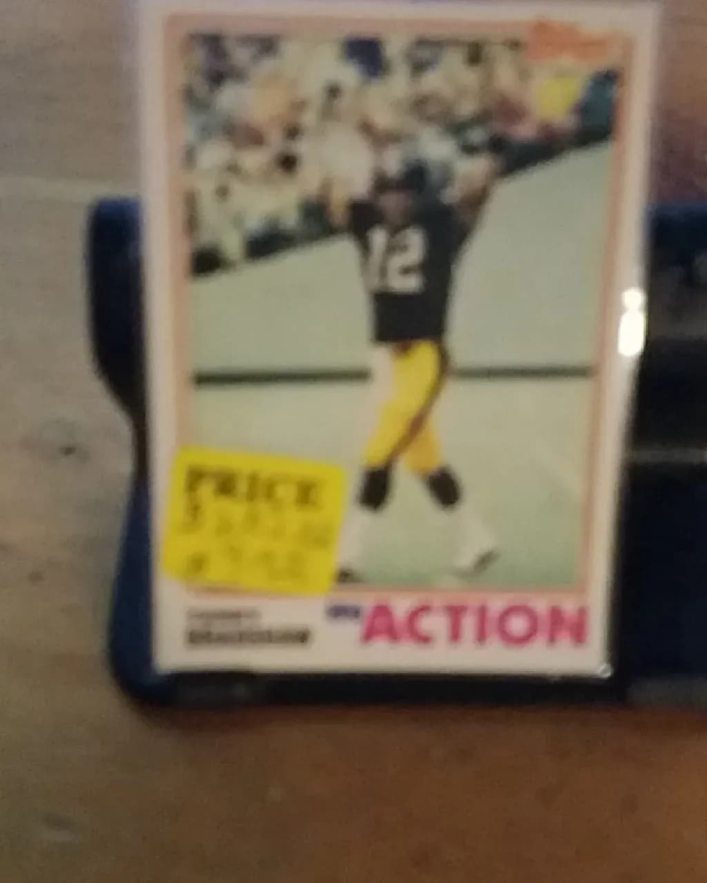 Terry Bradshaw #205