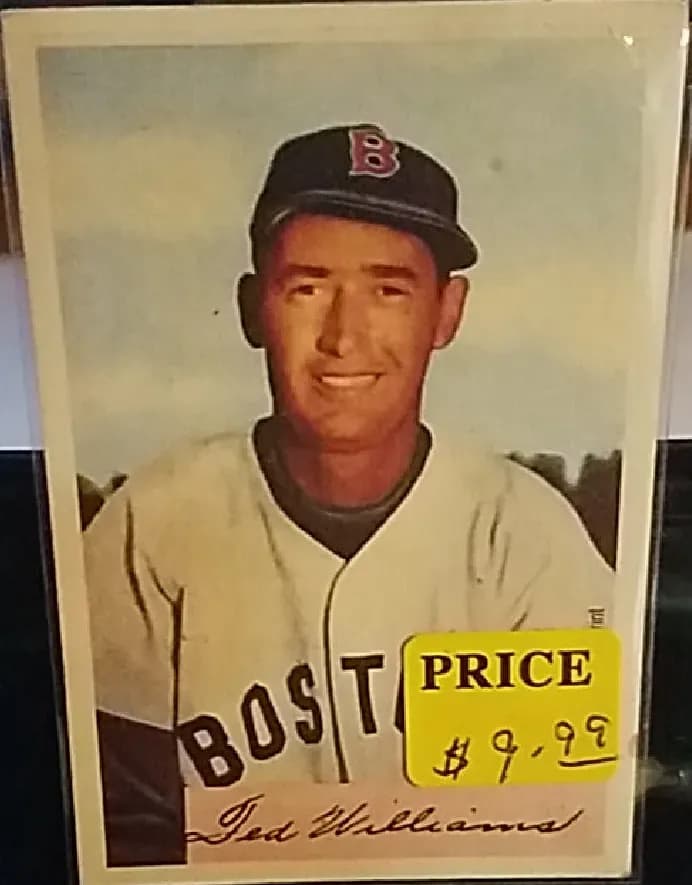 Ted Williams #66