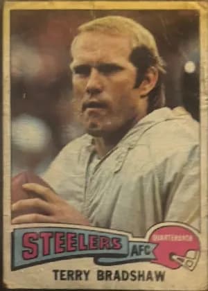 Terry Bradshaw #461