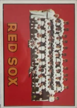 Red Sox Team #604