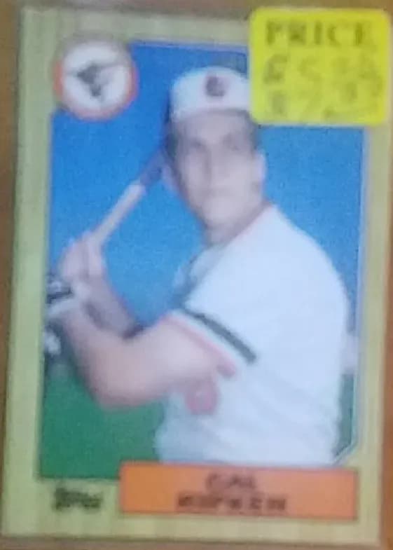Cal Ripken Jr. #312