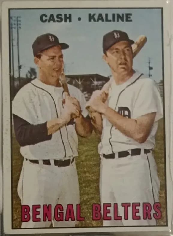 Bengal Belters #216