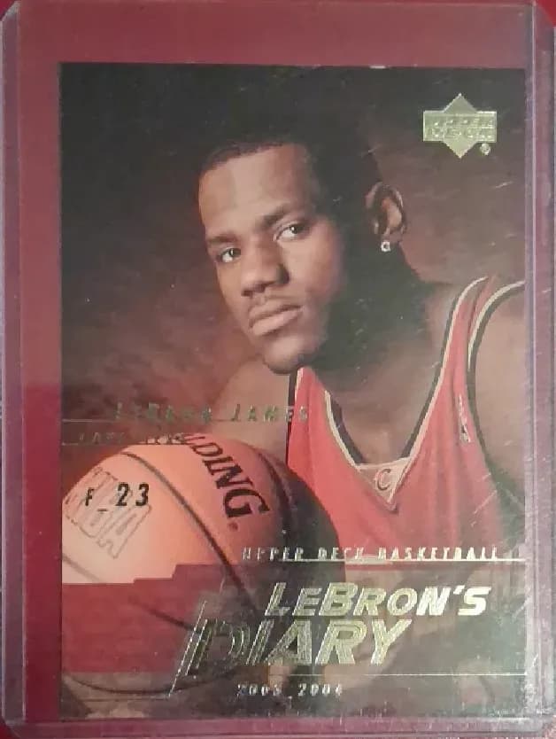 LeBron James LeBron's Diary #LJ10