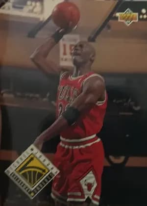 Michael Jordan #438