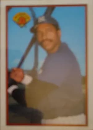 Dave Winfield #179