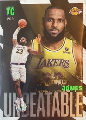 LeBron James #269