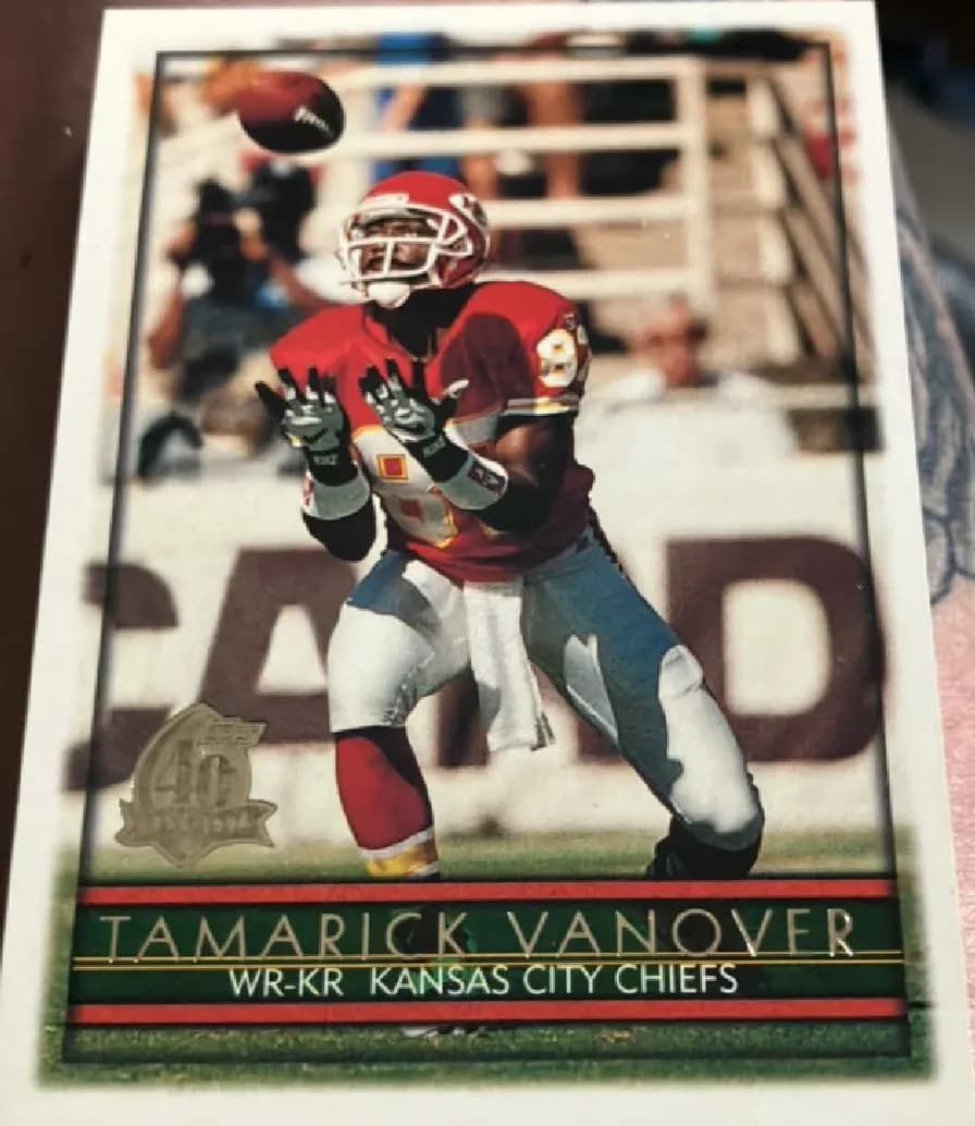 Tamarick Vanover #235