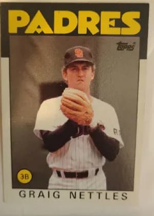 Graig Nettles #450