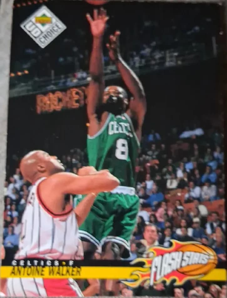 Vlade Divac #111